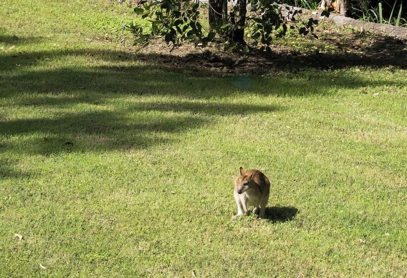 Airlie Beach Eco Cabins Adults Only