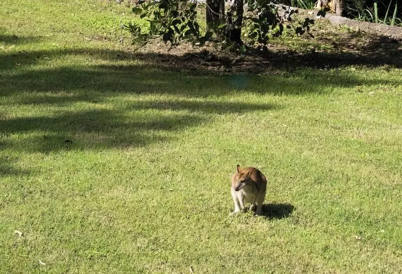 Airlie Beach Eco Cabins   Adults Only