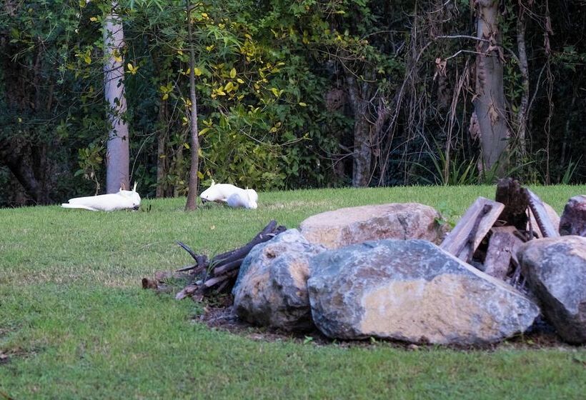 Airlie Beach Eco Cabins Adults Only
