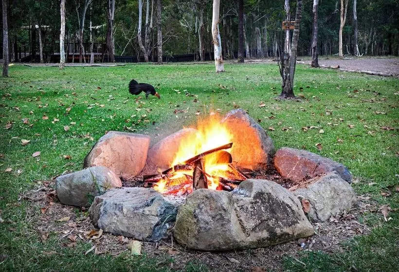 Airlie Beach Eco Cabins   Adults Only
