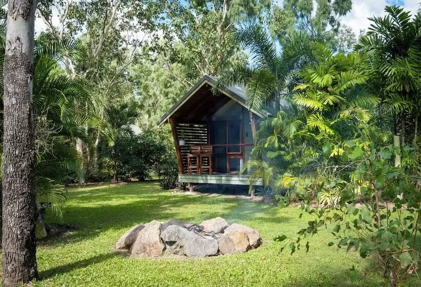 Airlie Beach Eco Cabins   Adults Only