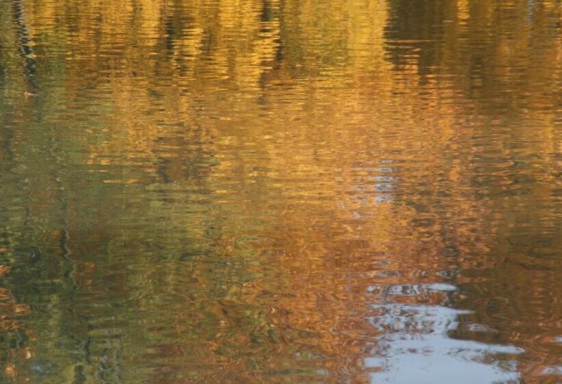 Bed and Breakfast Chambre D Hôtes Peniche Ophrys