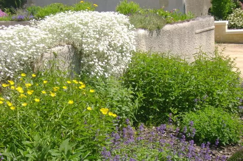 Aamiaismajoitus (B&B) Chambres D'hôtes Le Tilleul