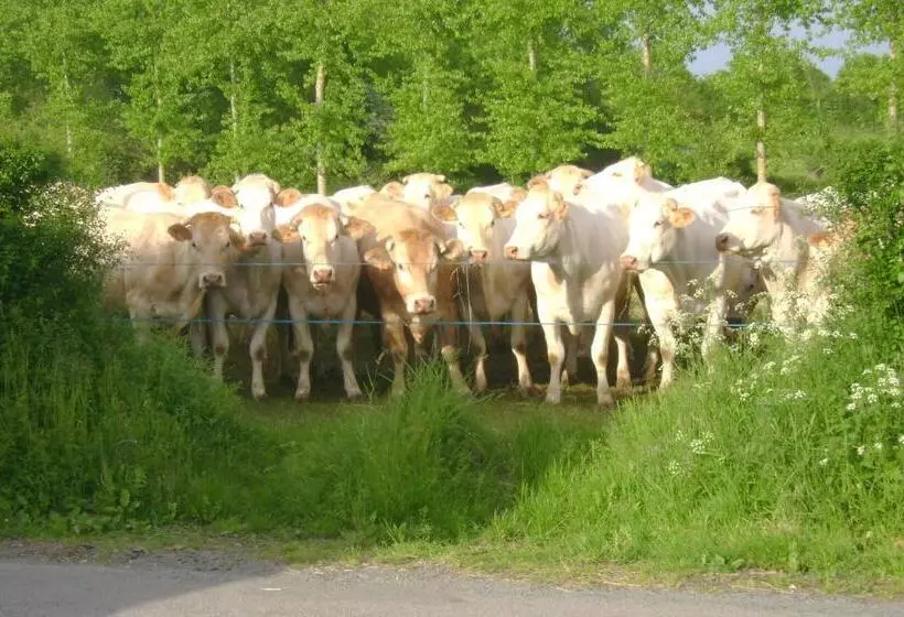 Aamiaismajoitus (B&B) Chambres D'hôtes Le Tilleul