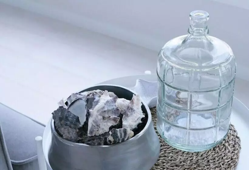 Flotsam Studio Accommodation