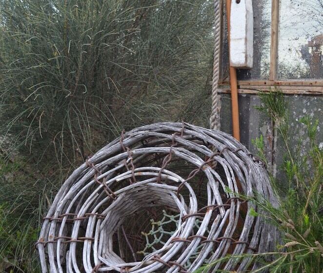 Flotsam Studio Accommodation