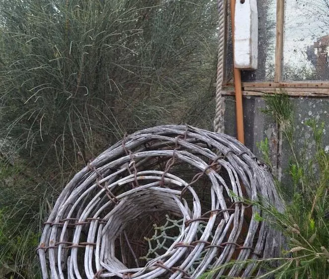 Flotsam Studio Accommodation