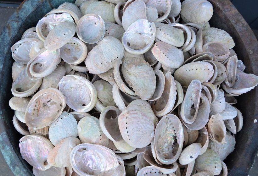 Flotsam Studio Accommodation