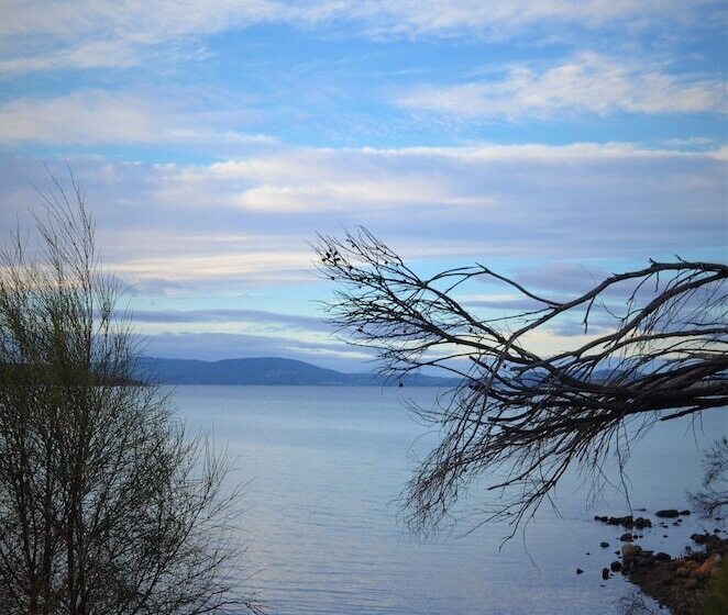 Flotsam Studio Accommodation