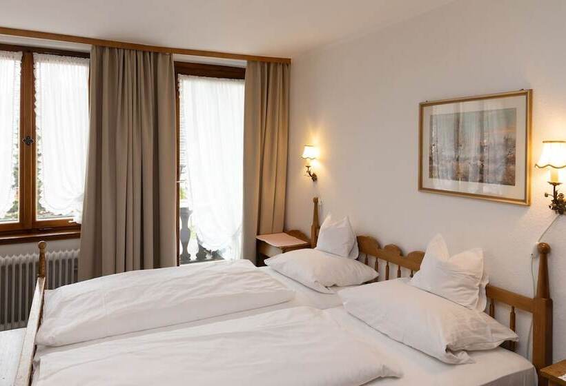 簡易ホテル Gasthaus Adler