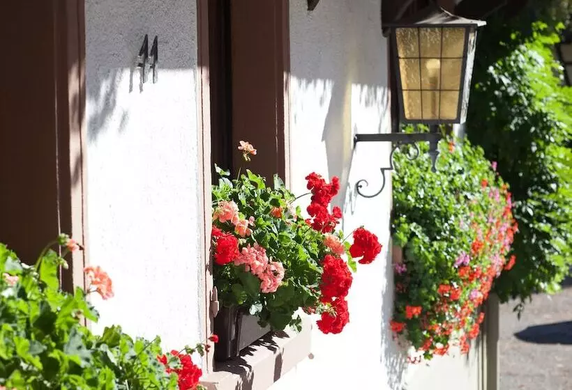 Hostelli Gasthaus Adler