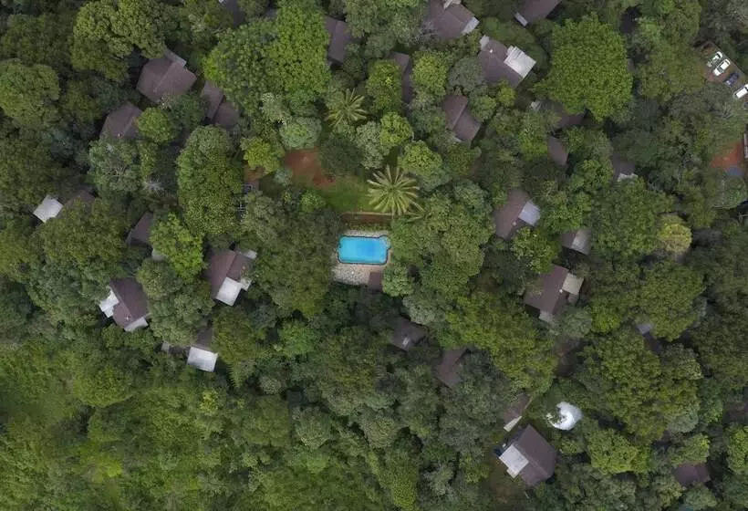 ホテル Adithya Nature Resort & Spa