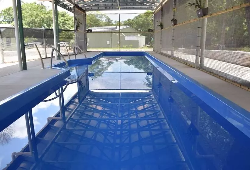 ホテル Daintree Peaks Eco Stays