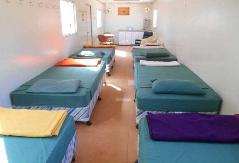 酒店 Hamelin Pool Caravan Park