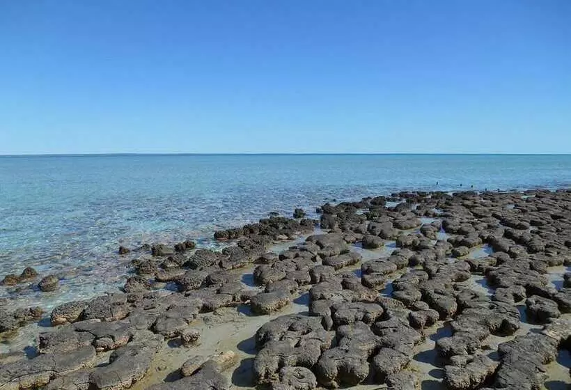 Hotelli Hamelin Pool Caravan Park
