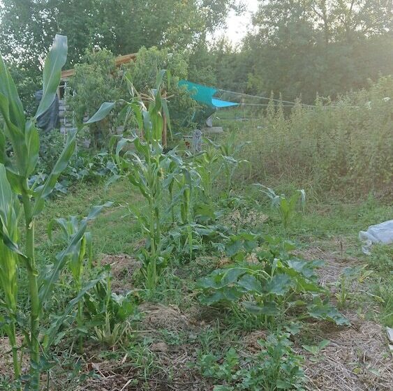 هتل La Piraterie Des Galinoux