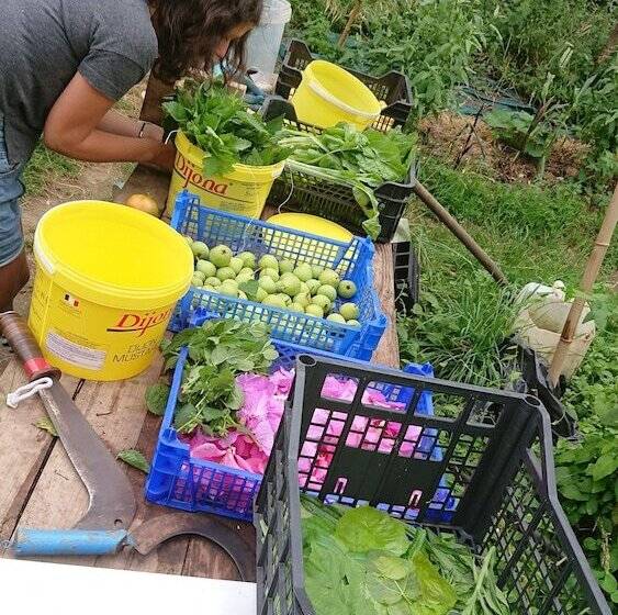 هتل La Piraterie Des Galinoux