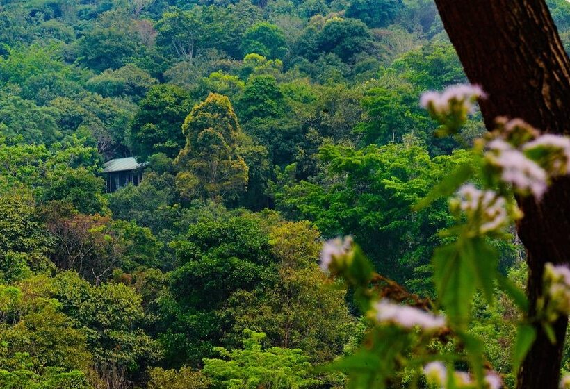 هتل Wayanad Wild Rainforest Lodge By Cgh Earth