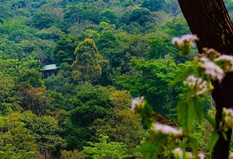 Hotelli Wayanad Wild Rainforest Lodge By Cgh Earth