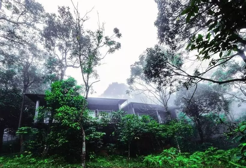 Hotelli Wayanad Wild Rainforest Lodge By Cgh Earth