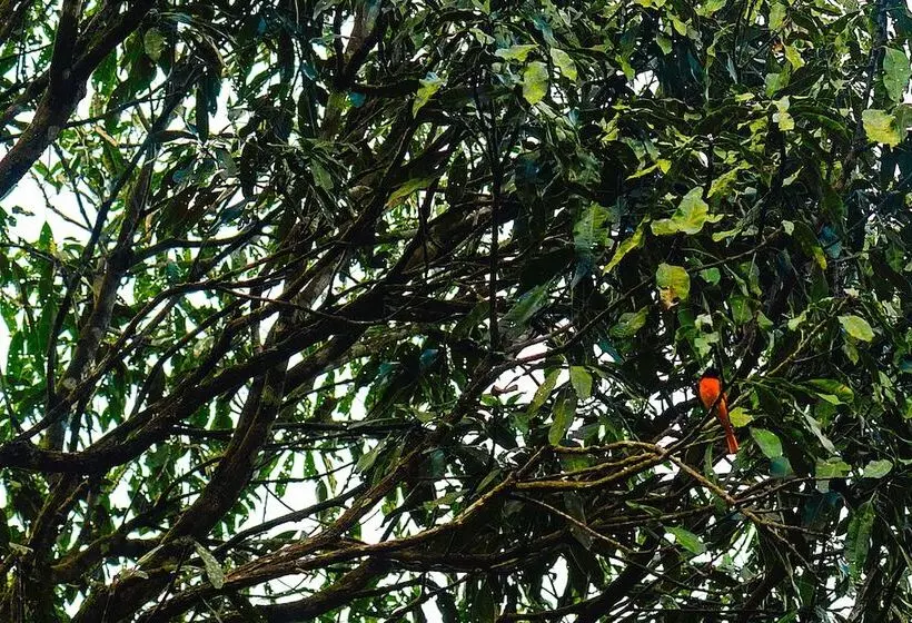 Hotelli Wayanad Wild Rainforest Lodge By Cgh Earth