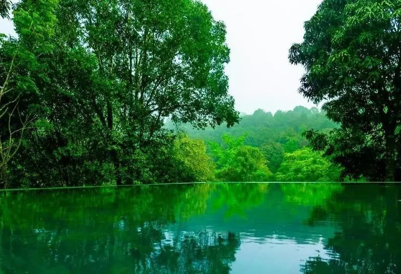 Hotelli Wayanad Wild Rainforest Lodge By Cgh Earth