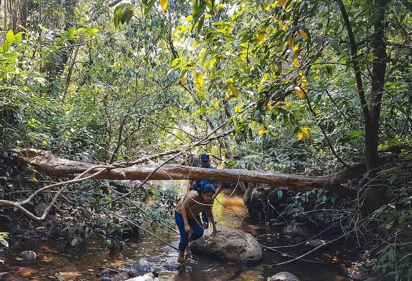 هتل Wayanad Wild Rainforest Lodge By Cgh Earth