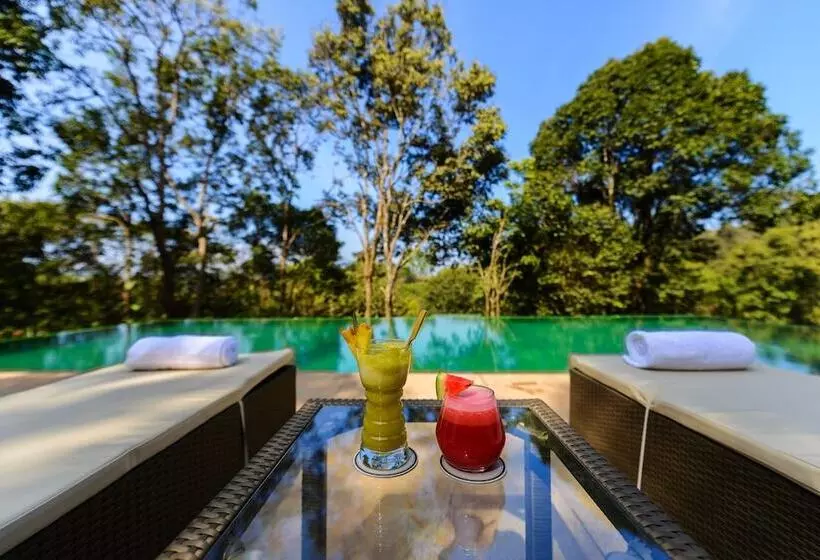 Hotelli Wayanad Wild Rainforest Lodge By Cgh Earth