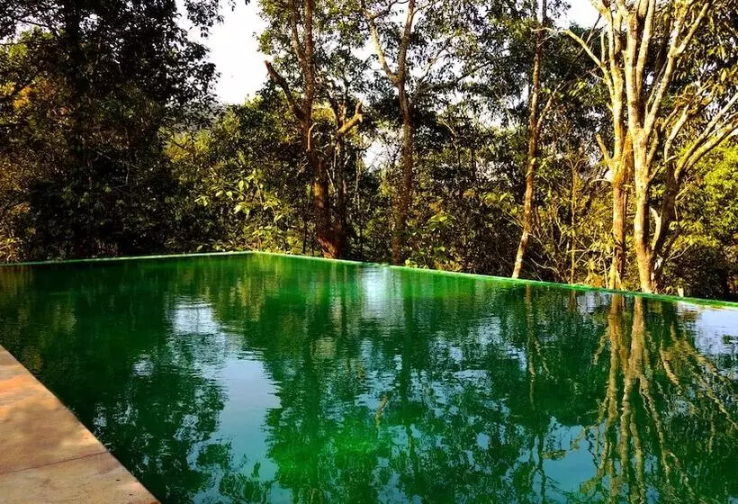 Hotelli Wayanad Wild Rainforest Lodge By Cgh Earth