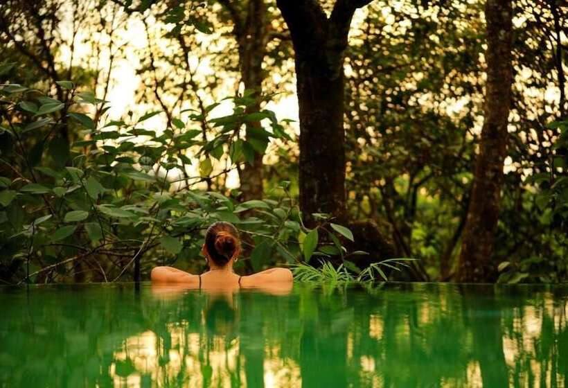 هتل Wayanad Wild Rainforest Lodge By Cgh Earth