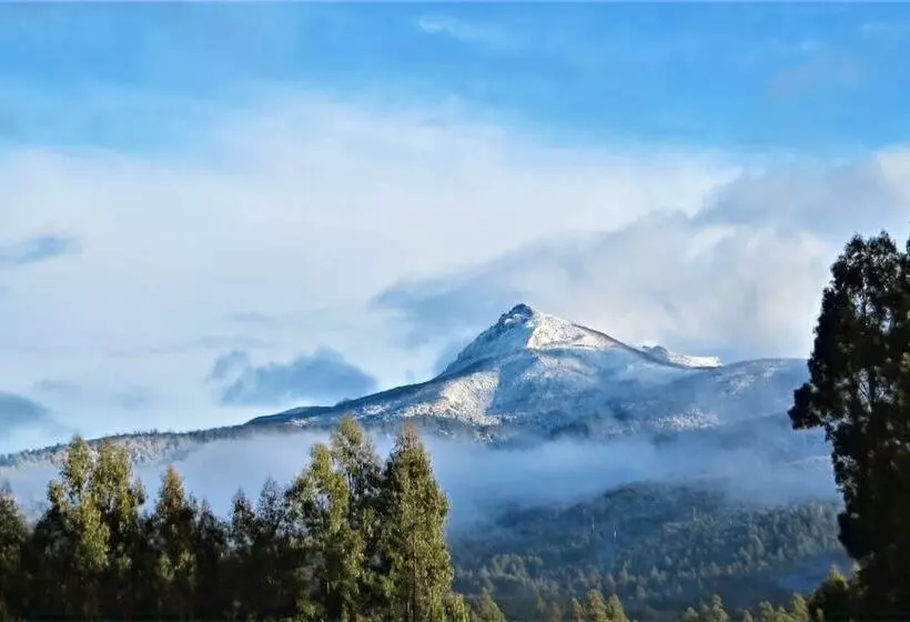 Maydena Mountain Cabins