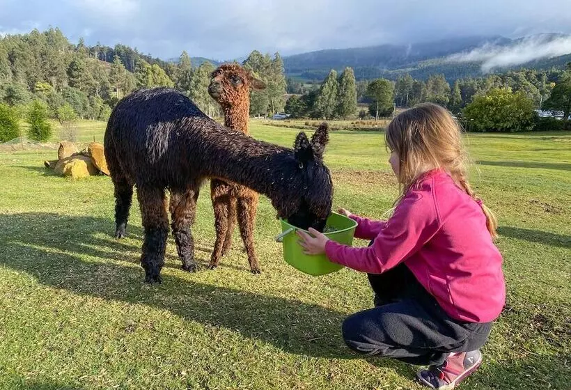 Maydena Mountain Cabins