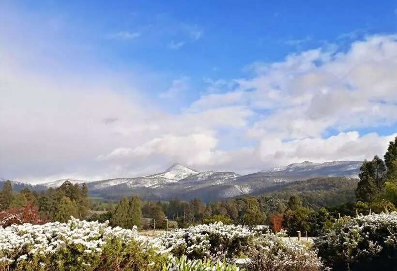 Maydena Mountain Cabins