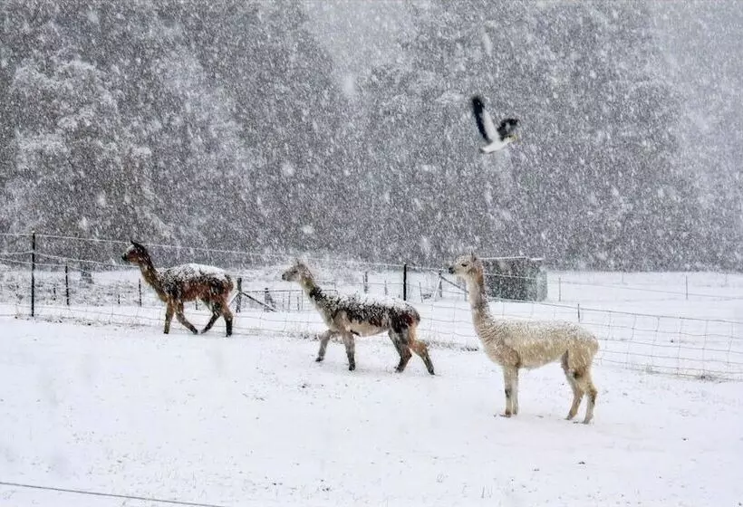 Maydena Mountain Cabins