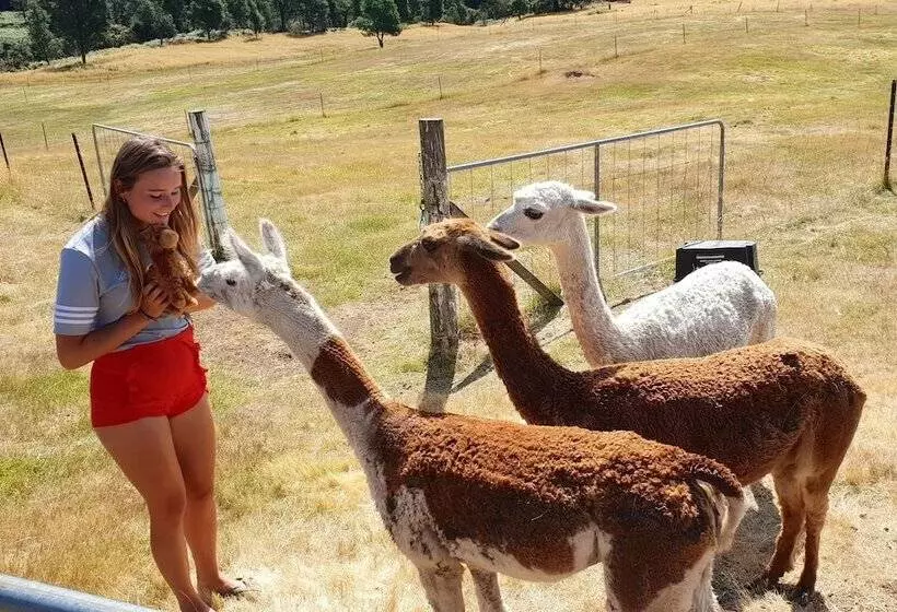 Maydena Mountain Cabins