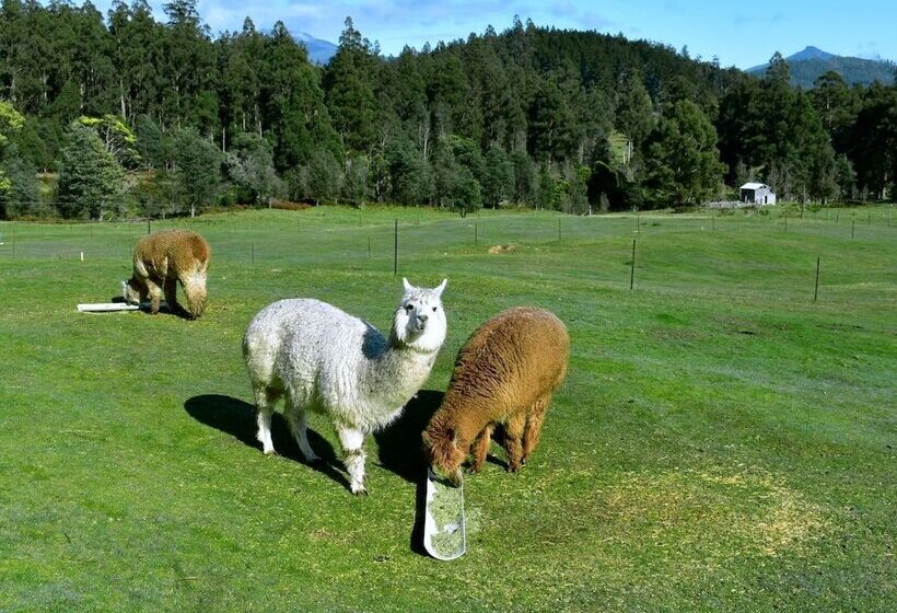 Maydena Mountain Cabins