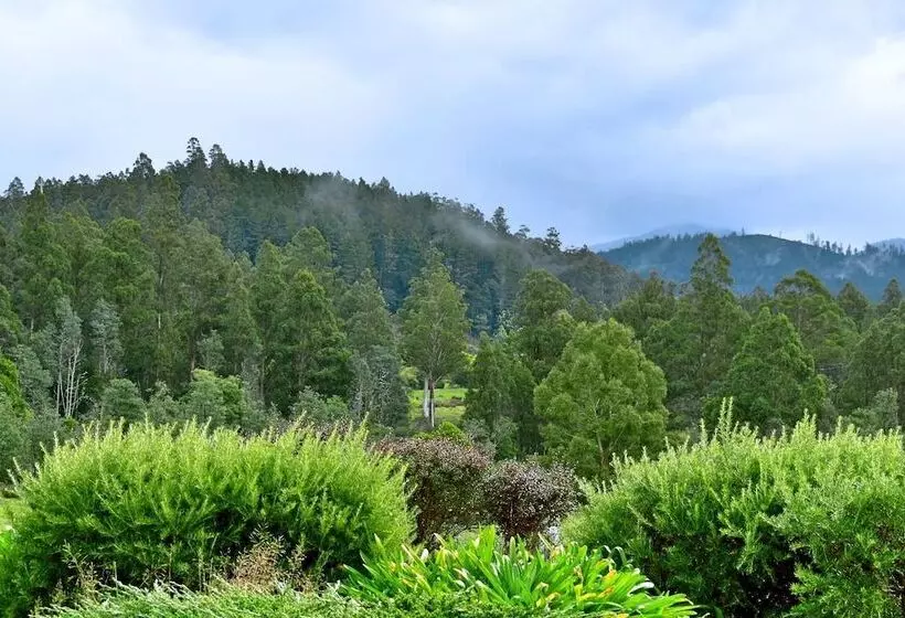 Maydena Mountain Cabins