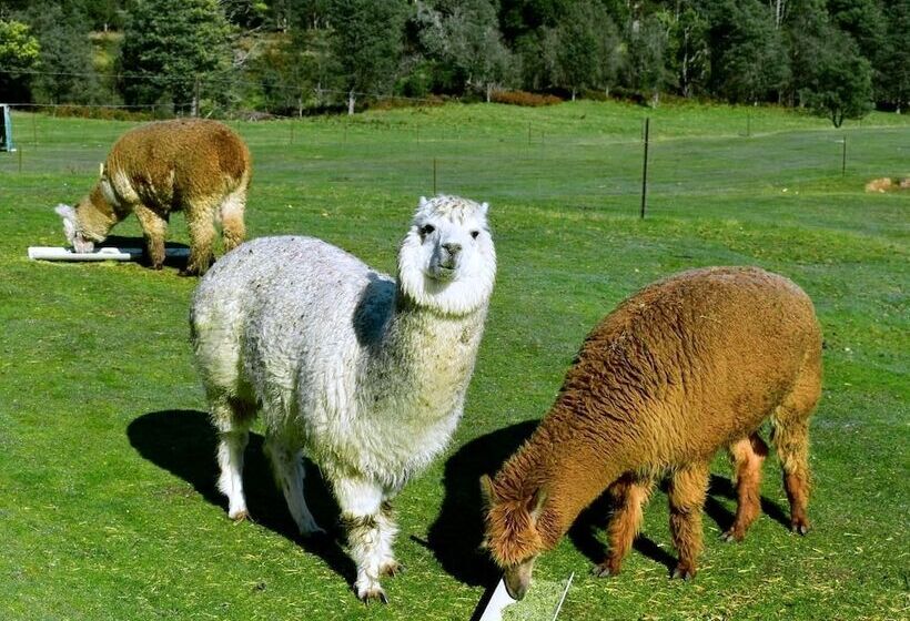 Maydena Mountain Cabins