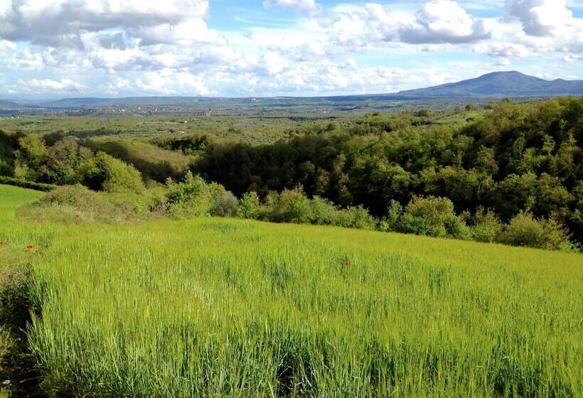 Modern Cottage In Graffignano Italy With Swimming Pool