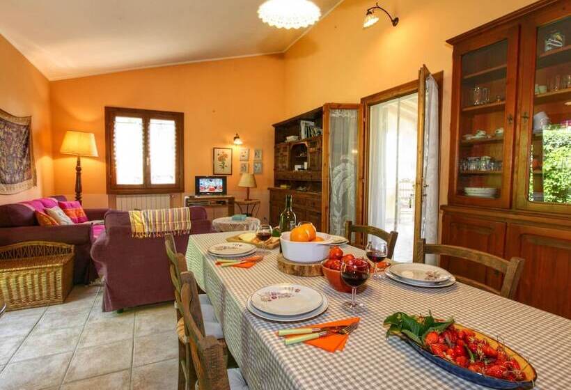 Modern Cottage In Graffignano Italy With Swimming Pool