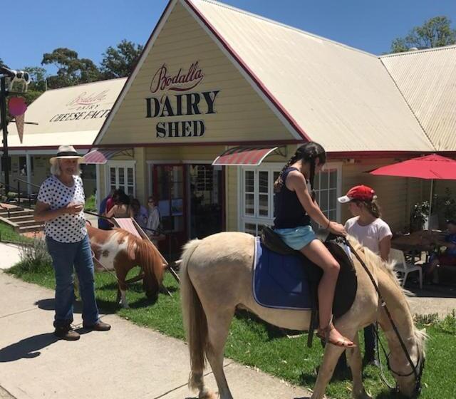 모텔 Bodalla Dairy Shed Guest Rooms