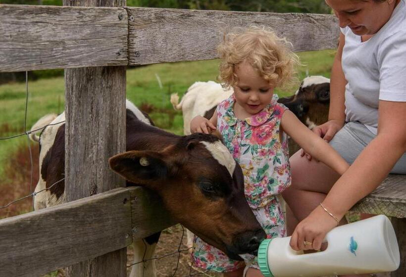모텔 Bodalla Dairy Shed Guest Rooms