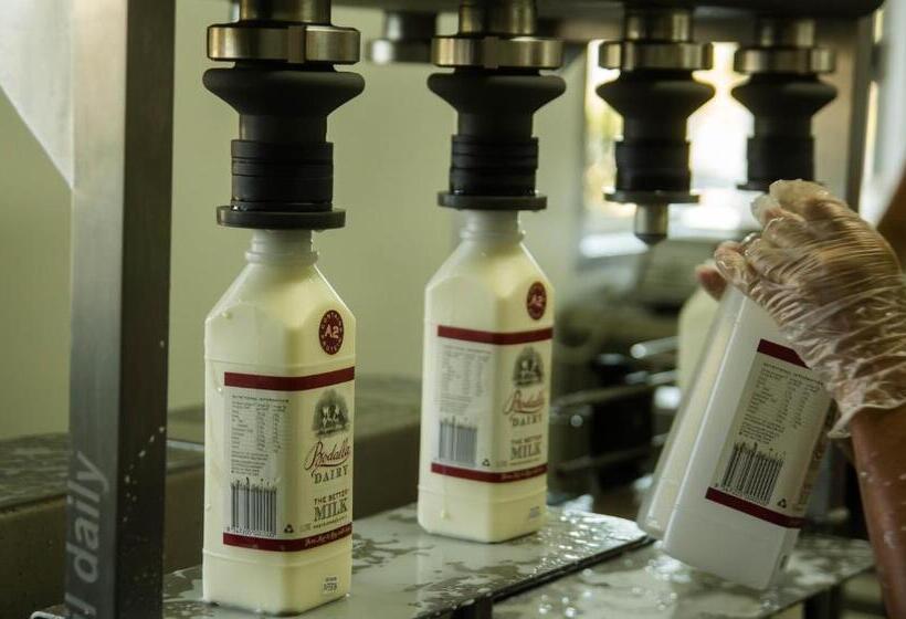 모텔 Bodalla Dairy Shed Guest Rooms