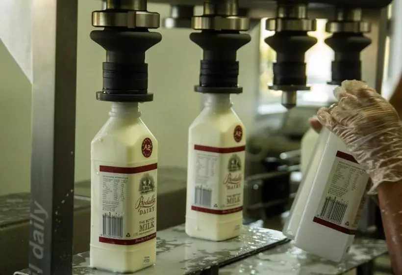 Motelli Bodalla Dairy Shed Guest Rooms