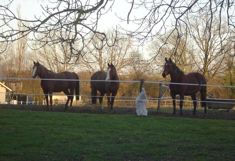 ベッドアンドブレックファースト Ferme Passion