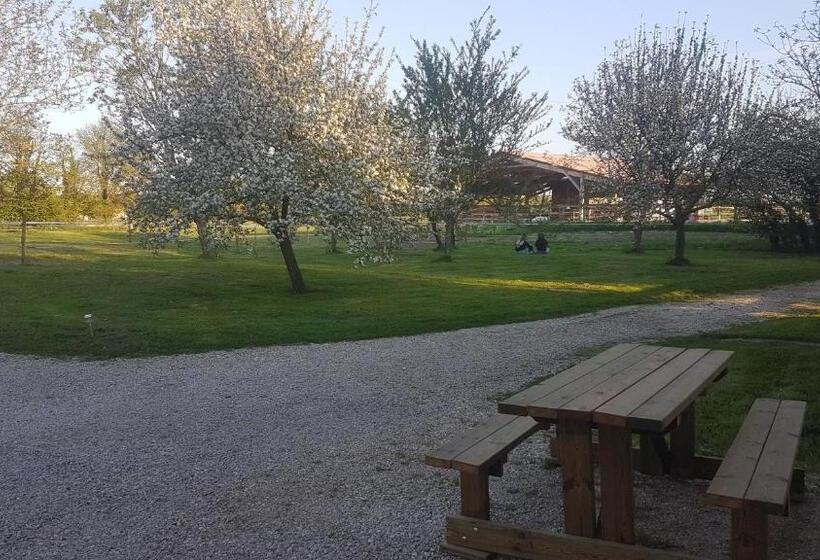 ベッドアンドブレックファースト Ferme Passion