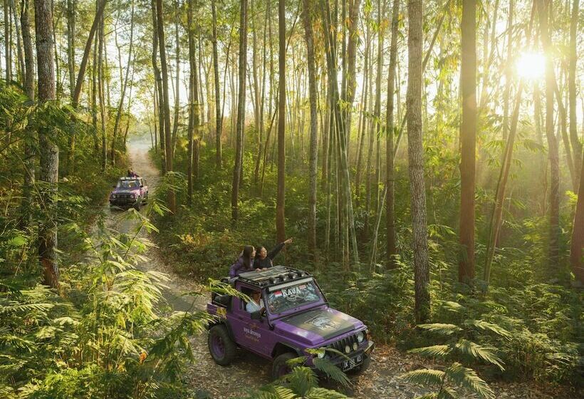 Bed and Breakfast Hiker S Camp At Toya Devasya