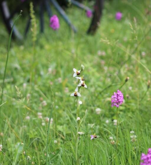 Bed and Breakfast La Garde Pile De Fichou