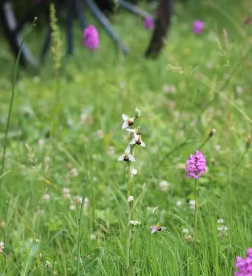 ベッドアンドブレックファースト La Garde Pile De Fichou