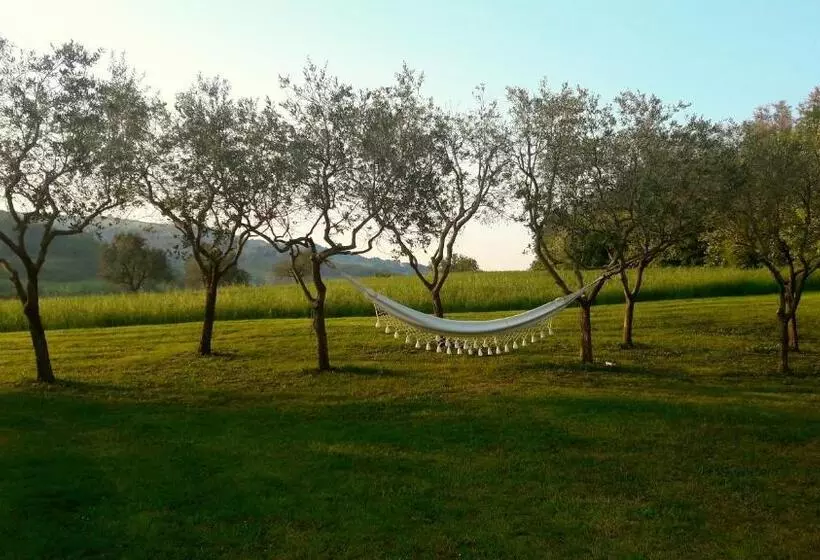 Aamiaismajoitus (B&B) Le Bumbarelle